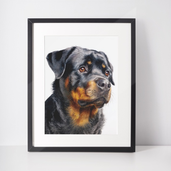 Rottweiler Watercolor Pet Portrait - Dog Wall Art Poster Unframed - Picture 3 of 5